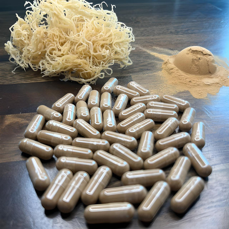100% Wildcraft Irish Sea Moss & Lions Mane Power Capsules