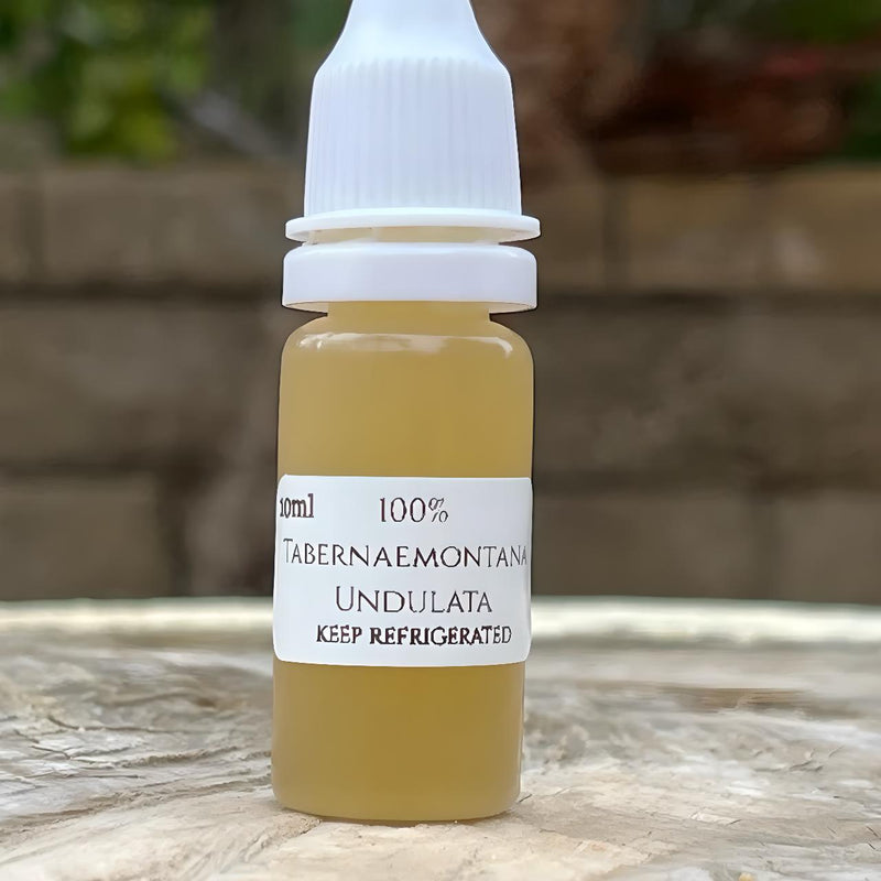 Sananga 10ml - Tabernaemontana Undulata Root Bark Extract