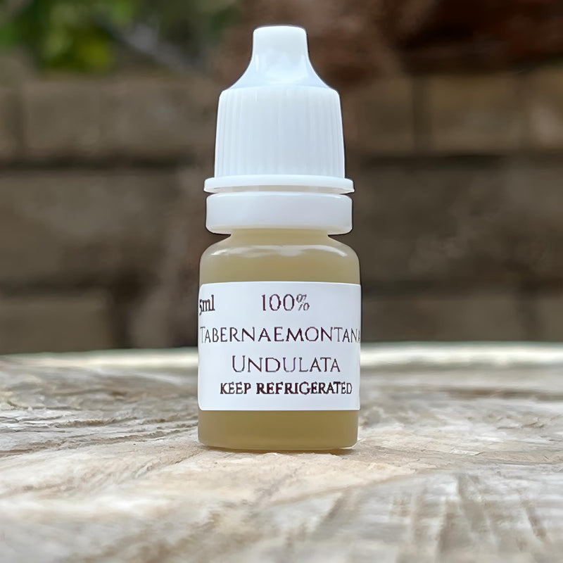 Sananga 5ml - Tabernaemontana Undulata Root Bark Extract