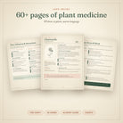 Sample pages from The Living Apothecary herbal guidebook