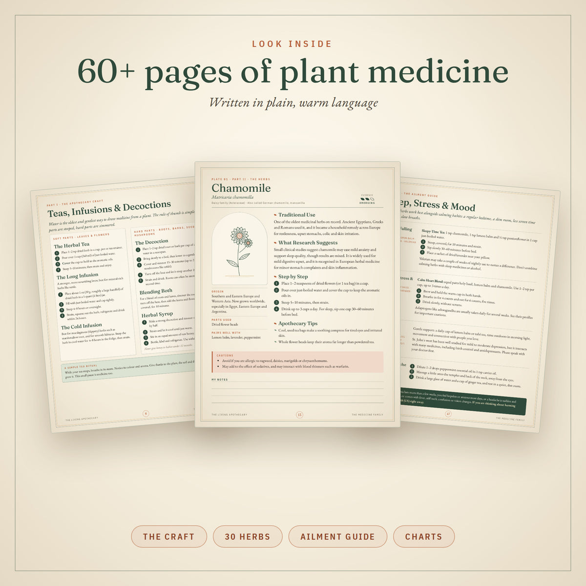 Sample pages from The Living Apothecary herbal guidebook