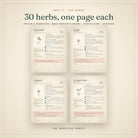 Four herb profile pages: chamomile, ginger, turmeric and St. John's wort