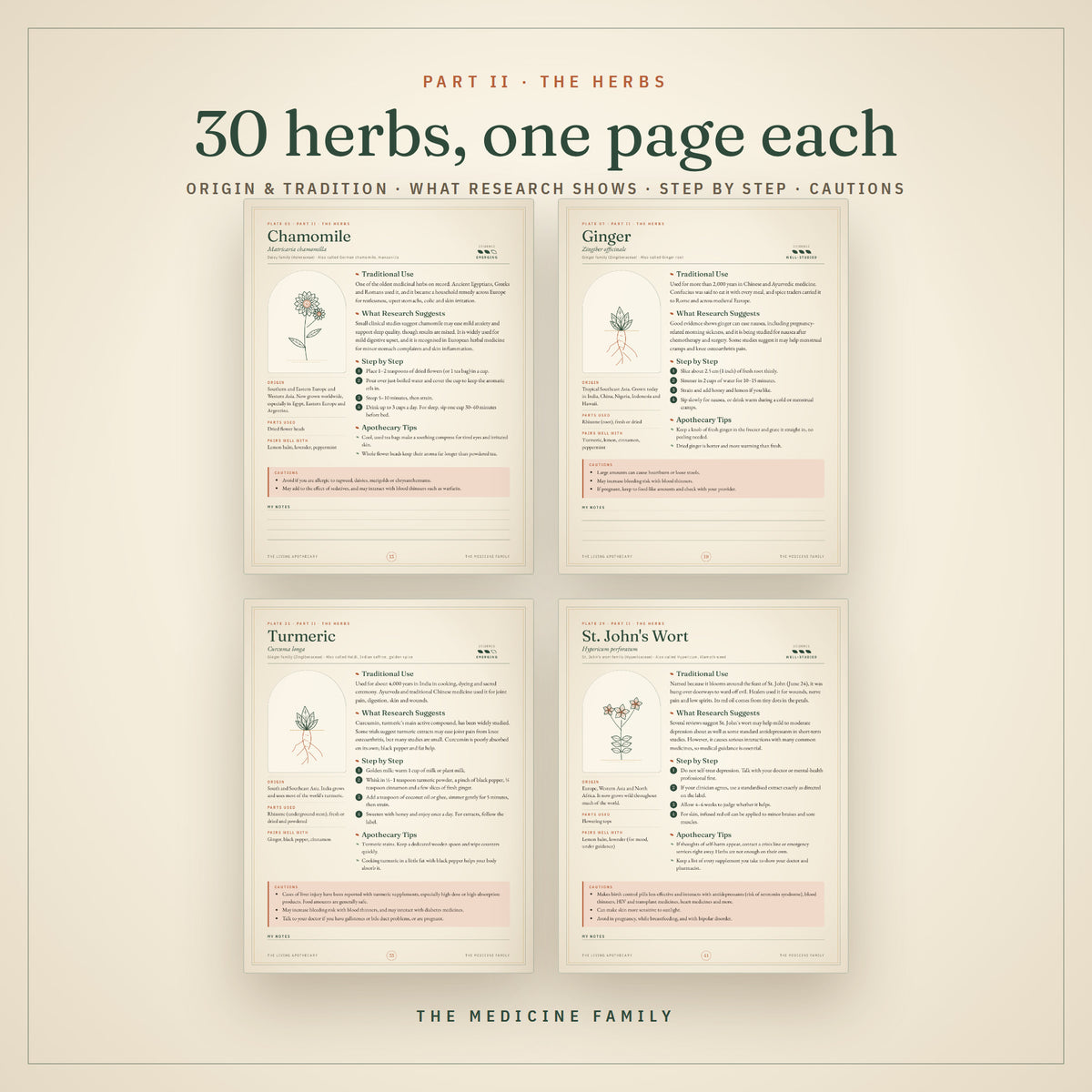 Four herb profile pages: chamomile, ginger, turmeric and St. John's wort