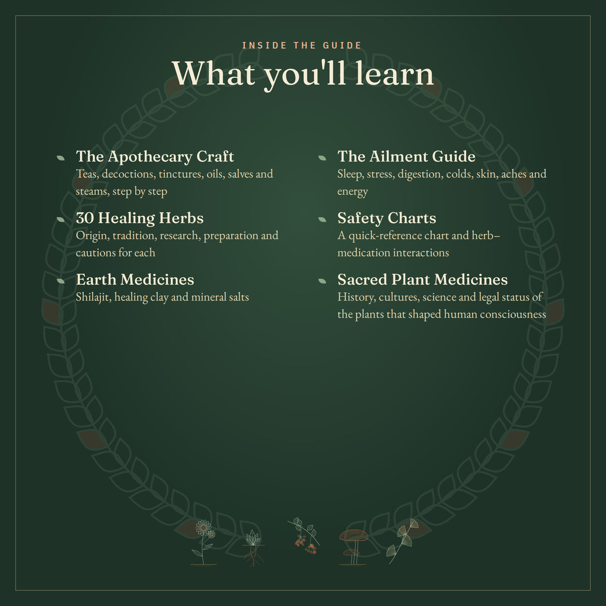 What you'll learn: the apothecary craft, 30 herbs, earth medicines, ailment guide, safety charts and sacred plant medicines