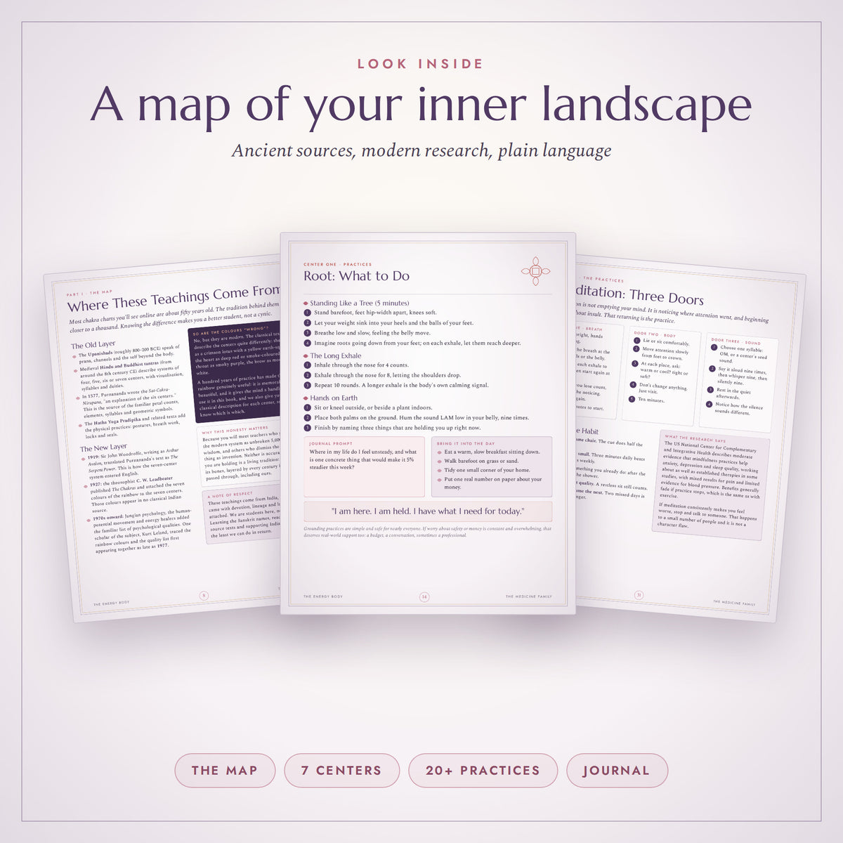 Sample pages from The Energy Body guidebook
