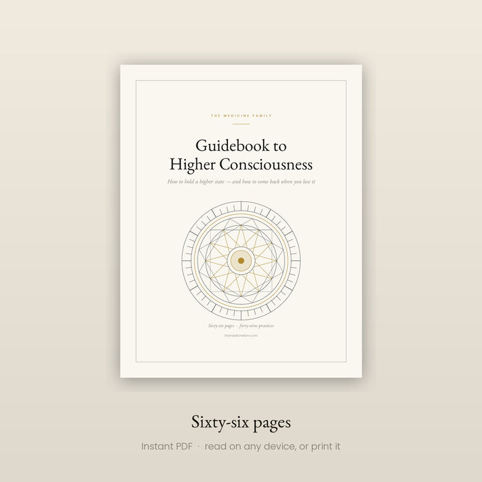 Guidebook to Higher Consciousness