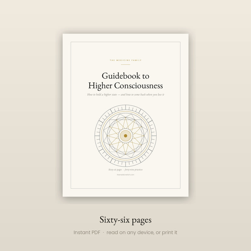 Guidebook to Higher Consciousness