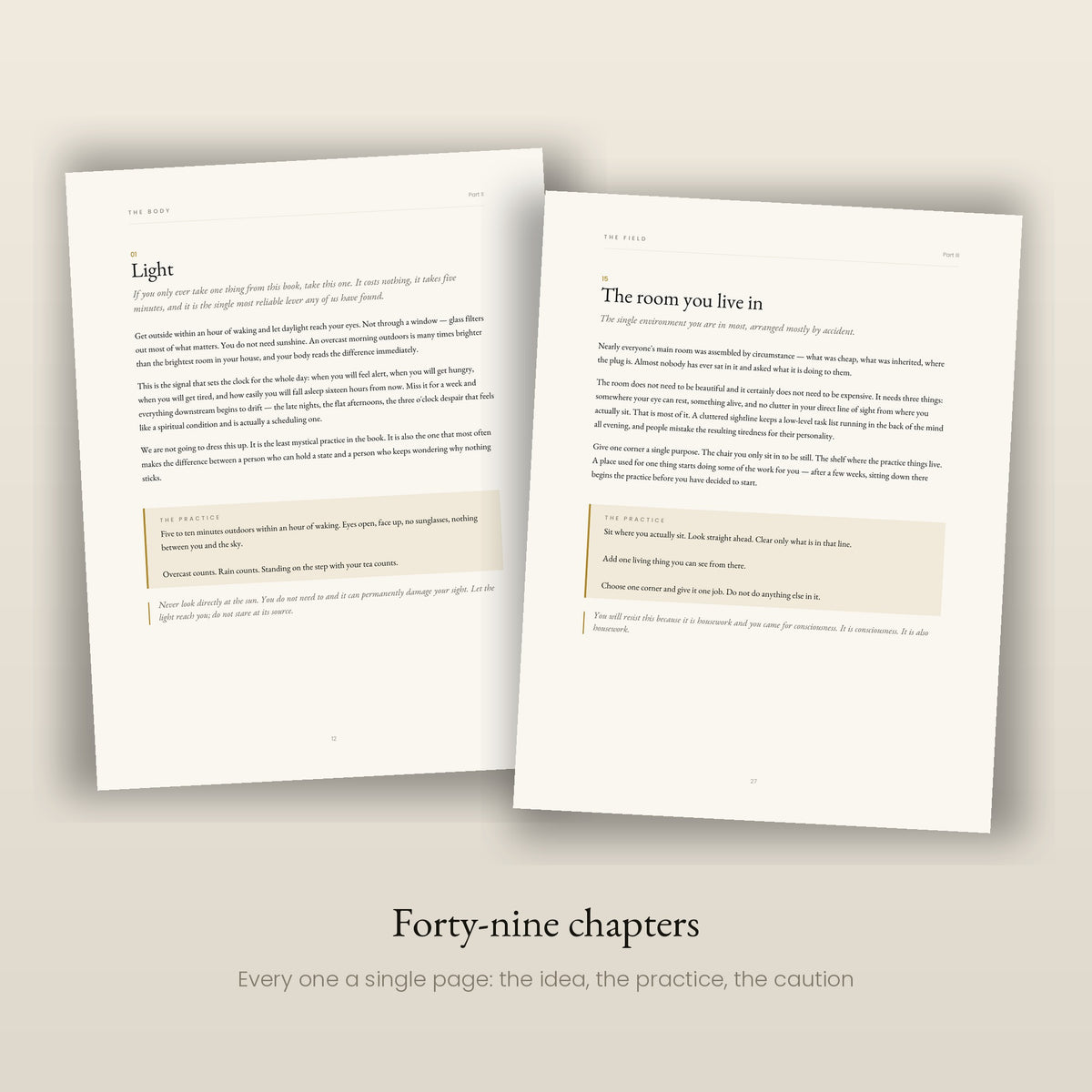 Two chapter pages from the guidebook. Forty-nine chapters, each a single page: the idea, the practice, and the caution.