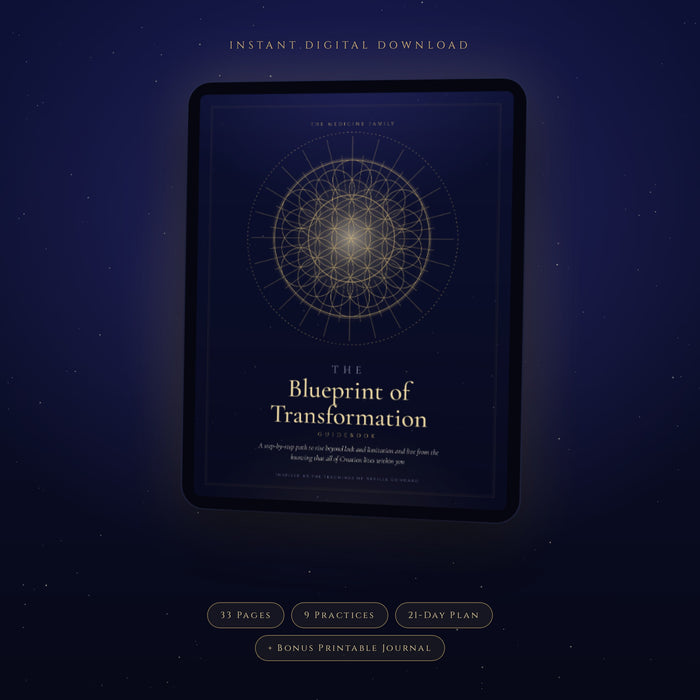 The Blueprint of Transformation Guidebook