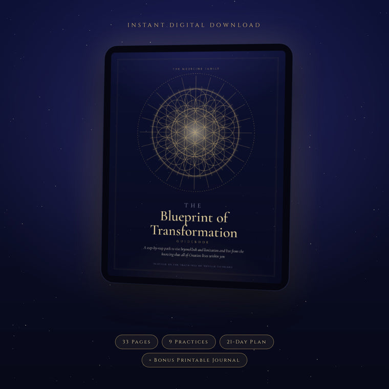 The Blueprint of Transformation Guidebook